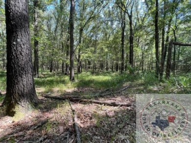 New Duck Hunting/ Recreational tract listing in Red River County on  in Texas - for sale on GolfHomes.com, golf home, golf lot