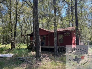 New Duck Hunting/ Recreational tract listing in Red River County on  in Texas - for sale on GolfHomes.com, golf home, golf lot