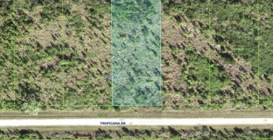 Come build your forever home on this one-half acre lot that on Indian Lake Estates Golf and Country Club in Florida - for sale on GolfHomes.com, golf home, golf lot