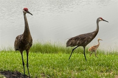 BACK ON THE MARKET!-WITH A LOWER PRICE $$$ This Best of the Best on Heritage Landing Golf  in Florida - for sale on GolfHomes.com, golf home, golf lot