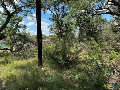 Rustic .2548 acre lot in Cypress Lake Gardens. Partially cleared on Rebecca Creek Golf Club in Texas - for sale on GolfHomes.com, golf home, golf lot