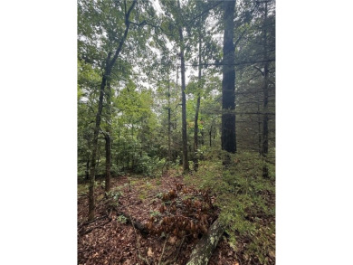 Discover the perfect setting for your future home on this on Branchwood Golf Course in Arkansas - for sale on GolfHomes.com, golf home, golf lot