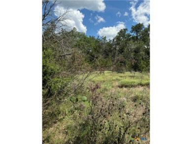 Rustic .2548 acre lot in Cypress Lake Gardens. Partially cleared on Rebecca Creek Golf Club in Texas - for sale on GolfHomes.com, golf home, golf lot