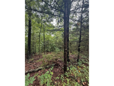 Discover the perfect setting for your future home on this on Branchwood Golf Course in Arkansas - for sale on GolfHomes.com, golf home, golf lot
