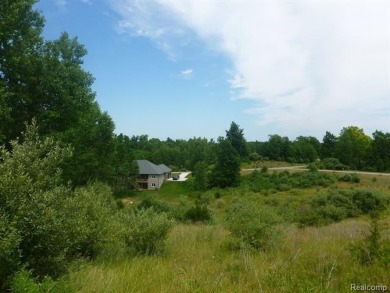 Two of the last lots remaining in the Arnold Palmer designed on Coyote Preserve Golf Club in Michigan - for sale on GolfHomes.com, golf home, golf lot