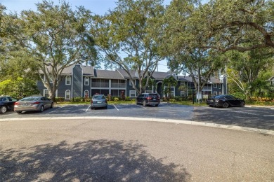 Move In Ready!  First Floor, 2 Bedroom Condo with Open Floor on Innisbrook Resort and Golf Club in Florida - for sale on GolfHomes.com, golf home, golf lot