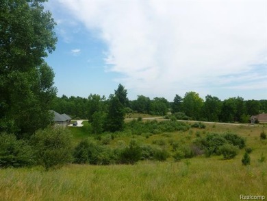 Two of the last lots remaining in the Arnold Palmer designed on Coyote Preserve Golf Club in Michigan - for sale on GolfHomes.com, golf home, golf lot