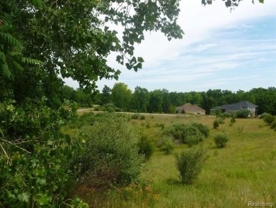 Two of the last lots remaining in the Arnold Palmer designed on Coyote Preserve Golf Club in Michigan - for sale on GolfHomes.com, golf home, golf lot