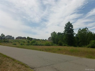 Two of the last lots remaining in the Arnold Palmer designed on Coyote Preserve Golf Club in Michigan - for sale on GolfHomes.com, golf home, golf lot