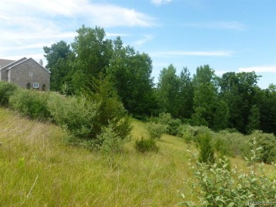 Two of the last lots remaining in the Arnold Palmer designed on Coyote Preserve Golf Club in Michigan - for sale on GolfHomes.com, golf home, golf lot