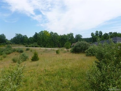 Two of the last lots remaining in the Arnold Palmer designed on Coyote Preserve Golf Club in Michigan - for sale on GolfHomes.com, golf home, golf lot