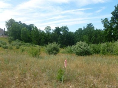 Two of the last lots remaining in the Arnold Palmer designed on Coyote Preserve Golf Club in Michigan - for sale on GolfHomes.com, golf home, golf lot