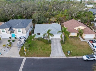 Welcome to 45 Gulfwinds Drive West, a traditional 3 bedroom, 2 on Innisbrook Resort and Golf Club in Florida - for sale on GolfHomes.com, golf home, golf lot