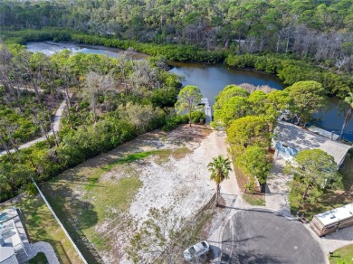 Welcome to 45 Gulfwinds Drive West, a traditional 3 bedroom, 2 on Innisbrook Resort and Golf Club in Florida - for sale on GolfHomes.com, golf home, golf lot