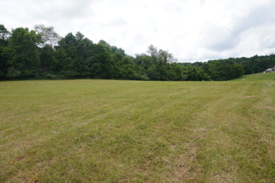 3 ACRES WITH MOUNTAIN VIEWS on Dandridge Golf and Country Club in Tennessee - for sale on GolfHomes.com, golf home, golf lot