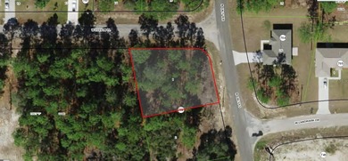 Spacious 0.29-acre unimproved homesite located in the growing on Citrus Springs Country Club in Florida - for sale on GolfHomes.com, golf home, golf lot