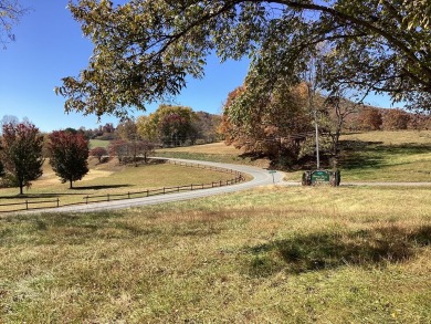 Level, gentle corner lot in Chatuge Shores Overlook.  Across on Chatuge Shores Golf Course in North Carolina - for sale on GolfHomes.com, golf home, golf lot
