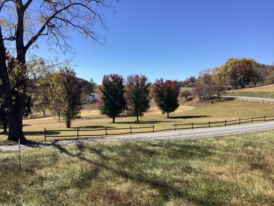 Level, gentle corner lot in Chatuge Shores Overlook.  Across on Chatuge Shores Golf Course in North Carolina - for sale on GolfHomes.com, golf home, golf lot