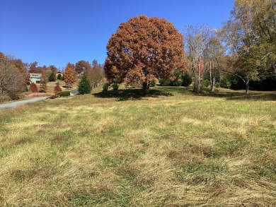 Level, gentle corner lot in Chatuge Shores Overlook.  Across on Chatuge Shores Golf Course in North Carolina - for sale on GolfHomes.com, golf home, golf lot