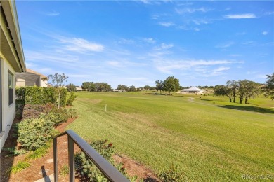 Welcome to your dream home nestled in the gated Community of on Skyview At Terra Vista Golf and Country Club in Florida - for sale on GolfHomes.com, golf home, golf lot