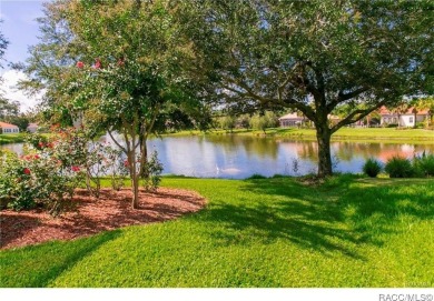 Welcome to your dream home nestled in the gated Community of on Skyview At Terra Vista Golf and Country Club in Florida - for sale on GolfHomes.com, golf home, golf lot