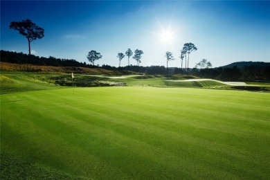 Don't miss this rare opportunity to own a truly exquisite on Old Edwards Club in North Carolina - for sale on GolfHomes.com, golf home, golf lot