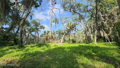 Welcome to Nature's Paradise with this extraordinary 2/3 acre on Queens Harbour Yacht and Country Club in Florida - for sale on GolfHomes.com, golf home, golf lot