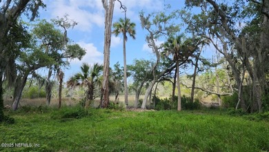 Welcome to Nature's Paradise with this extraordinary 2/3 acre on Queens Harbour Yacht and Country Club in Florida - for sale on GolfHomes.com, golf home, golf lot