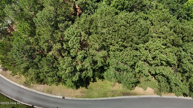 Come create your own custom home in this luxurious neighborhood on River Landing Golf Course in North Carolina - for sale on GolfHomes.com, golf home, golf lot