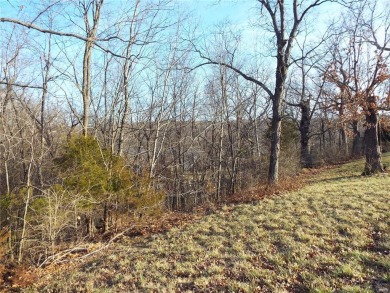 Beautiful Wooded Lot with in Incline Village! This picturesque on Incline Village Golf Course in Missouri - for sale on GolfHomes.com, golf home, golf lot