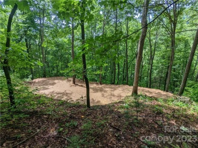 NEW PRICE REDUCTION!  Sellers say *Bring an offer!* Owners have on Reems Creek Golf Club in North Carolina - for sale on GolfHomes.com, golf home, golf lot