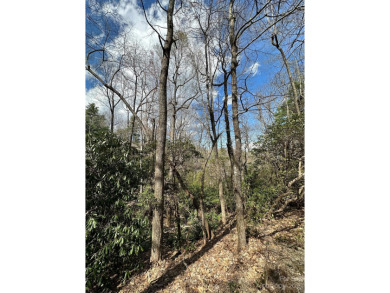 Priced below tax - value! Come see this wooded 1.12 acre lot in on Kenmure Country Club in North Carolina - for sale on GolfHomes.com, golf home, golf lot