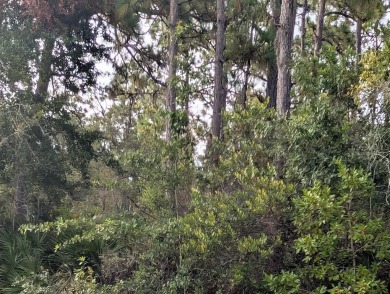 Come build your forever home on this one-half acre corner lot on Indian Lake Estates Golf and Country Club in Florida - for sale on GolfHomes.com, golf home, golf lot