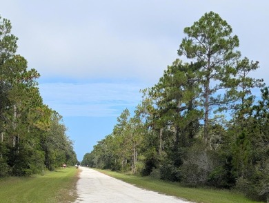 Come build your forever home on this one-half acre corner lot on Indian Lake Estates Golf and Country Club in Florida - for sale on GolfHomes.com, golf home, golf lot