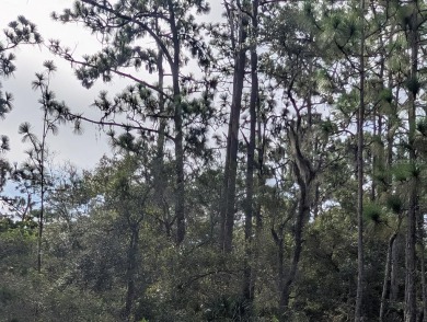 Come build your forever home on this one-half acre corner lot on Indian Lake Estates Golf and Country Club in Florida - for sale on GolfHomes.com, golf home, golf lot