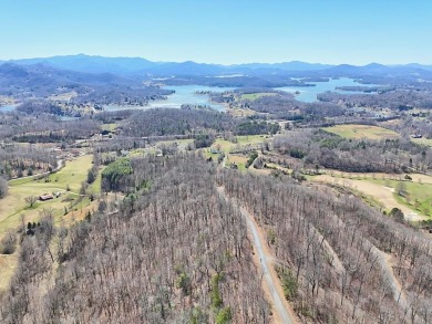 Located in Mountain Harbour, a Premier Golf Club Community on Chatuge Shores Golf Course in North Carolina - for sale on GolfHomes.com, golf home, golf lot