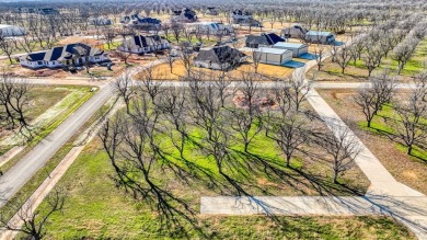 Dream Home Lot at The Landings Airpark! Seize the opportunity to on Pecan Plantation Country Club in Texas - for sale on GolfHomes.com, golf home, golf lot