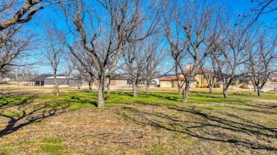 Dream Home Lot at The Landings Airpark! Seize the opportunity to on Pecan Plantation Country Club in Texas - for sale on GolfHomes.com, golf home, golf lot