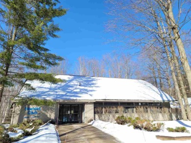 Priced to sell! This ski-in / ski-out community offers the on Little Traverse Bay Golf Club and Restaurant in Michigan - for sale on GolfHomes.com, golf home, golf lot