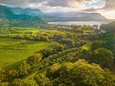 Location, Location, Location!  Exceptional 1.57-acre parcel on Makai Golf Club At Princeville in Hawaii - for sale on GolfHomes.com, golf home, golf lot