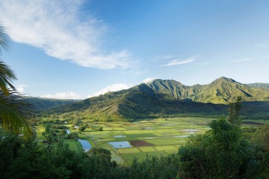 Location, Location, Location!  Exceptional 1.57-acre parcel on Makai Golf Club At Princeville in Hawaii - for sale on GolfHomes.com, golf home, golf lot