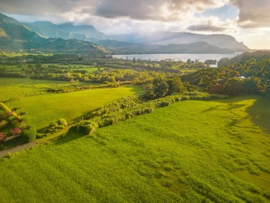 Location, Location, Location!  Exceptional 1.57-acre parcel on Makai Golf Club At Princeville in Hawaii - for sale on GolfHomes.com, golf home, golf lot