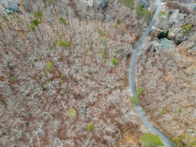 Imagine your home as your ultimate retreat, complete with the on The Highlands Course at Lake Arrowhead in Georgia - for sale on GolfHomes.com, golf home, golf lot