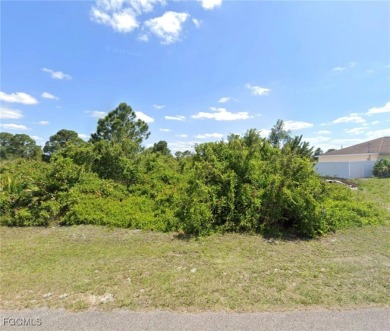 Build your dream home or investment property in the growing on River Hall Country Club in Florida - for sale on GolfHomes.com, golf home, golf lot