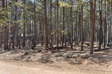 Opportunity knocks with this level, half-acre lot offering the on Angel Fire Resort Country Club in New Mexico - for sale on GolfHomes.com, golf home, golf lot