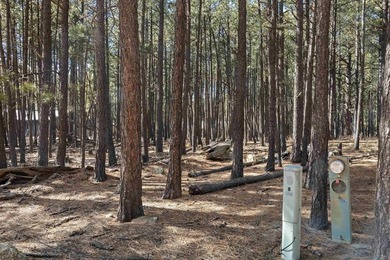 Opportunity knocks with this level, half-acre lot offering the on Angel Fire Resort Country Club in New Mexico - for sale on GolfHomes.com, golf home, golf lot