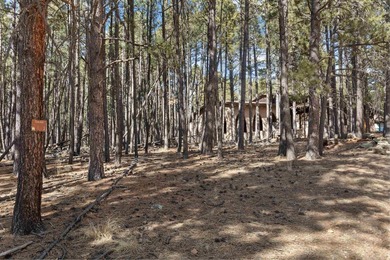 Opportunity knocks with this level, half-acre lot offering the on Angel Fire Resort Country Club in New Mexico - for sale on GolfHomes.com, golf home, golf lot