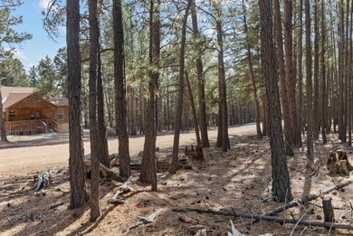 Opportunity knocks with this level, half-acre lot offering the on Angel Fire Resort Country Club in New Mexico - for sale on GolfHomes.com, golf home, golf lot