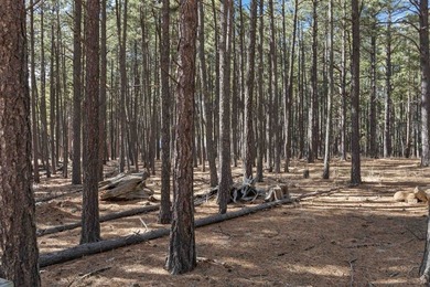Opportunity knocks with this level, half-acre lot offering the on Angel Fire Resort Country Club in New Mexico - for sale on GolfHomes.com, golf home, golf lot