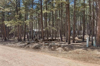 Opportunity knocks with this level, half-acre lot offering the on Angel Fire Resort Country Club in New Mexico - for sale on GolfHomes.com, golf home, golf lot